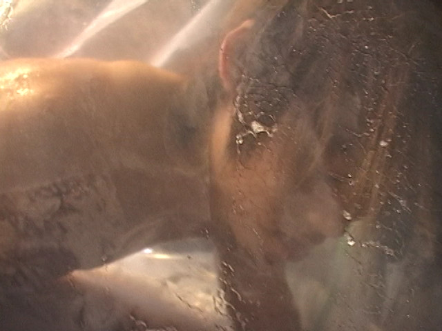 【MANIA（Acceed）】【ガチムチ】酸素を奪われ窒息寸前の○年がペニスを勃起させ悶える！｜Acceed