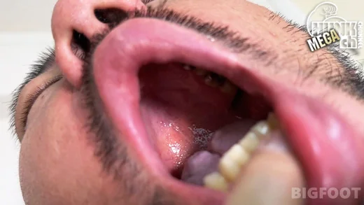 サンプル画像3